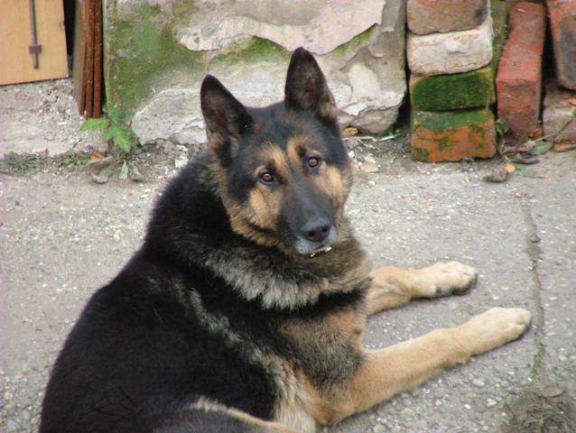 aDSCF7477.JPG