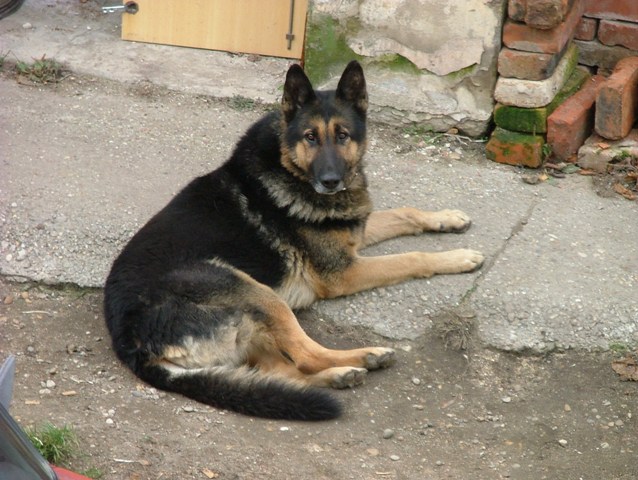 aDSCF7471.JPG